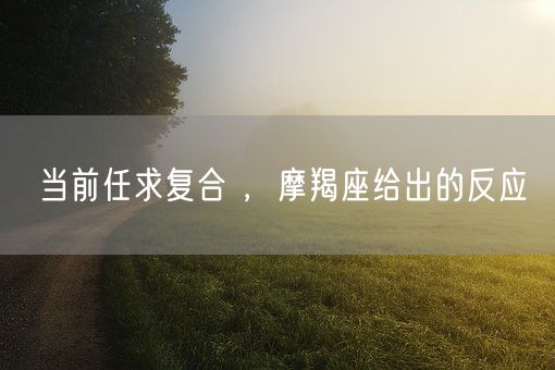 当前任求复合 ，摩羯座给出的反应(图1)