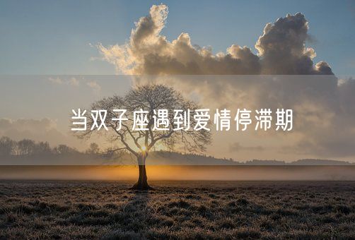 当双子座遇到爱情停滞期(图1)