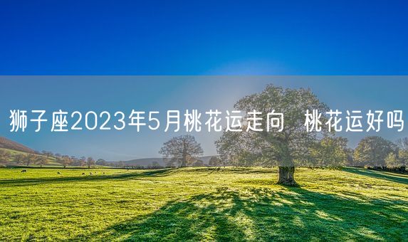 狮子座2023年5月桃花运走向  桃花运好吗(图1)