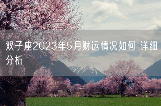 双子座2023年5月财运情况如何 详细分析(图1)