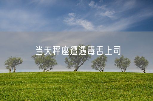当天秤座遭遇毒舌上司(图1)