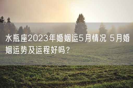 水瓶座2023年婚姻运5月情况 5月婚姻运势及运程好吗？(图1)