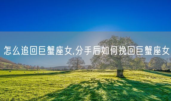 怎么追回巨蟹座女,分手后如何挽回巨蟹座女(图1) 怎么追回巨蟹座女,分手后如何挽回巨蟹座女(图1)