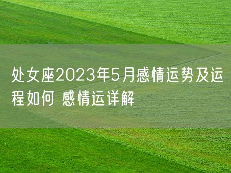 处女座2023年5月感情运势及运程如何 感情运详解(图1)