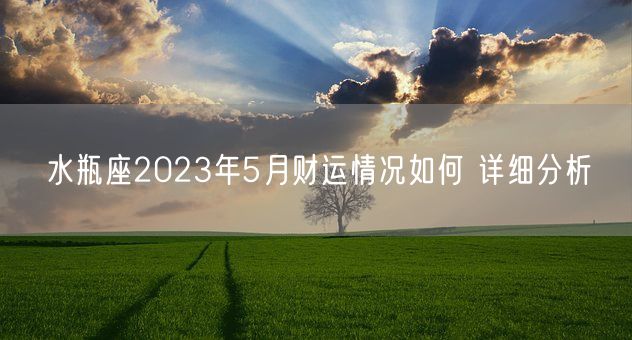 水瓶座2023年5月财运情况如何 详细分析(图1)