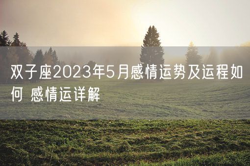 双子座2023年5月感情运势及运程如何 感情运详解(图1)