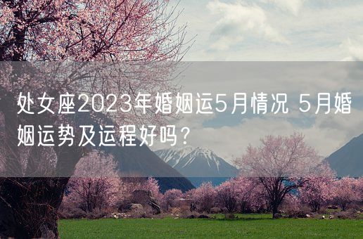 处女座2023年婚姻运5月情况 5月婚姻运势及运程好吗？(图1)