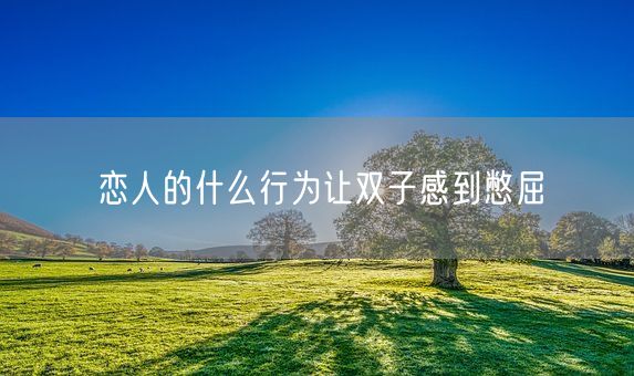 恋人的什么行为让双子感到憋屈(图1)