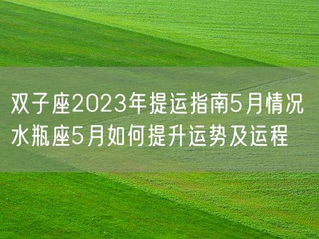 双子座2023年提运指南5月情况 水瓶座5月如何提升运势及运程(图1)