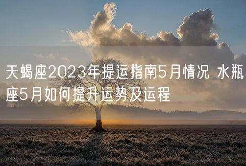 天蝎座2023年提运指南5月情况 水瓶座5月如何提升运势及运程(图1)