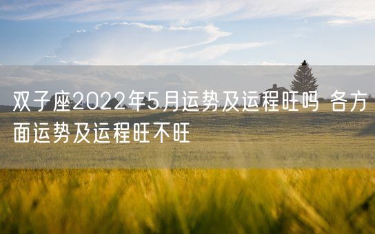 双子座2022年5月运势及运程旺吗 各方面运势及运程旺不旺(图1)