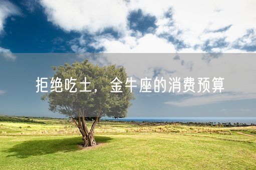 拒绝吃土，金牛座的消费预算(图1)