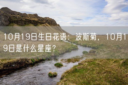 10月19日生日花语：波斯菊，10月19日是什么星座？(图1)