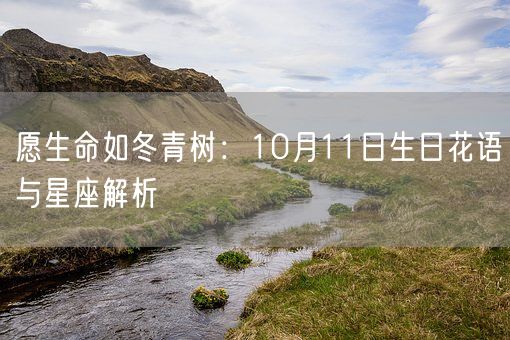 愿生命如冬青树：10月11日生日花语与星座解析(图1)