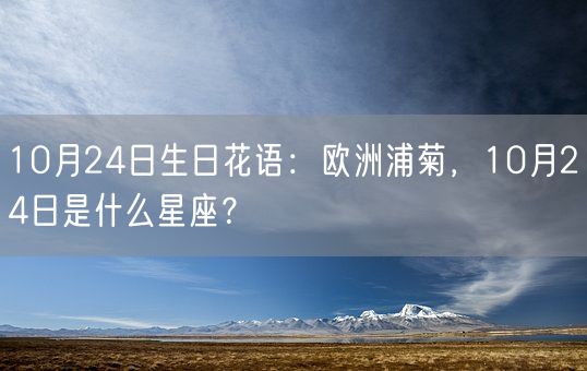 10月24日生日花语：欧洲浦菊，10月24日是什么星座？(图1)