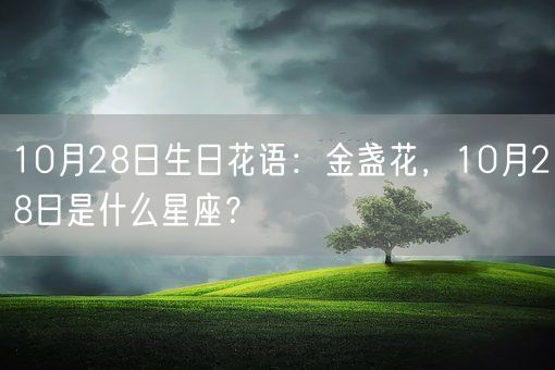 10月28日生日花语：金盏花，10月28日是什么星座？(图1)