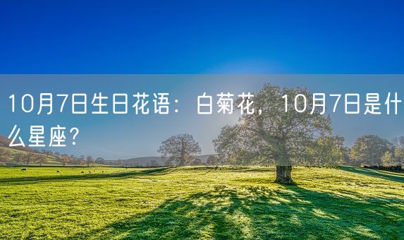 10月7日生日花语：白菊花，10月7日是什么星座？(图1)