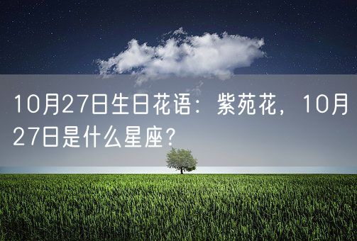 10月27日生日花语：紫苑花，10月27日是什么星座？(图1)