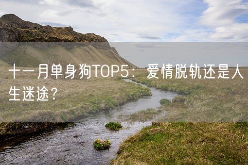 十一月单身狗TOP5：爱情脱轨还是人生迷途？(图1)