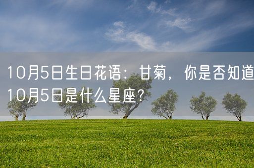 10月5日生日花语：甘菊，你是否知道10月5日是什么星座？(图1)