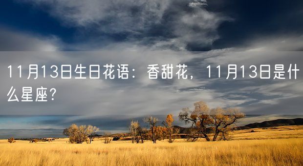 11月13日生日花语：香甜花，11月13日是什么星座？(图1)