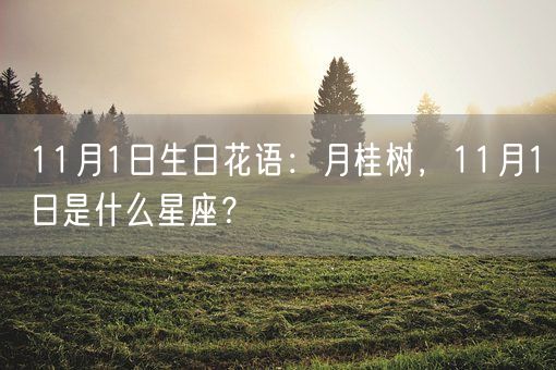 11月1日生日花语：月桂树，11月1日是什么星座？(图1)