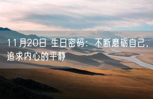 11月20日 生日密码：不断磨砺自己，追求内心的平静(图1)