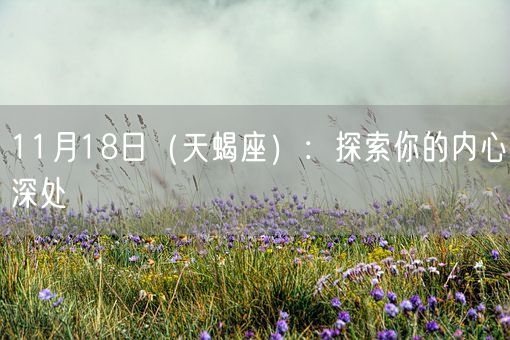 11月18日（天蝎座）：探索你的内心深处(图1)