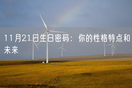 11月21日生日密码：你的性格特点和未来(图1)