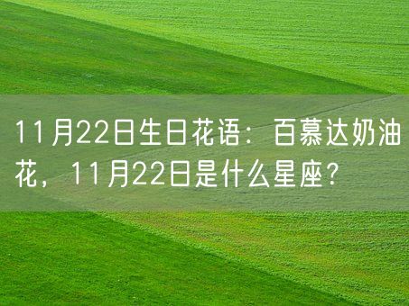 11月22日生日花语：百慕达奶油花，11月22日是什么星座？(图1)