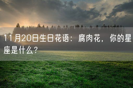 11月20日生日花语：腐肉花，你的星座是什么？(图1)