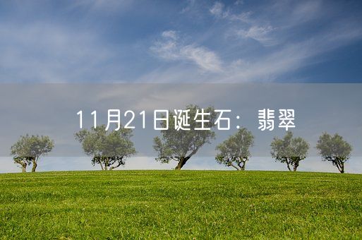 11月21日诞生石：翡翠(图1)