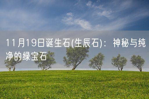 11月19日诞生石(生辰石)：神秘与纯净的绿宝石(图1)