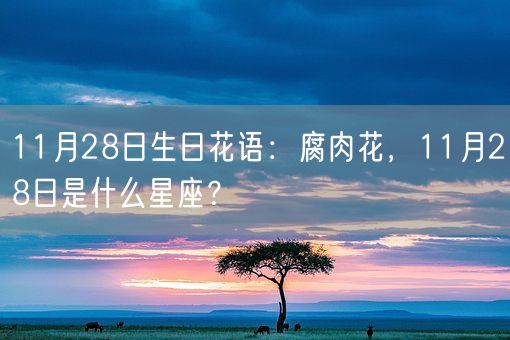 11月28日生日花语：腐肉花，11月28日是什么星座？(图1)