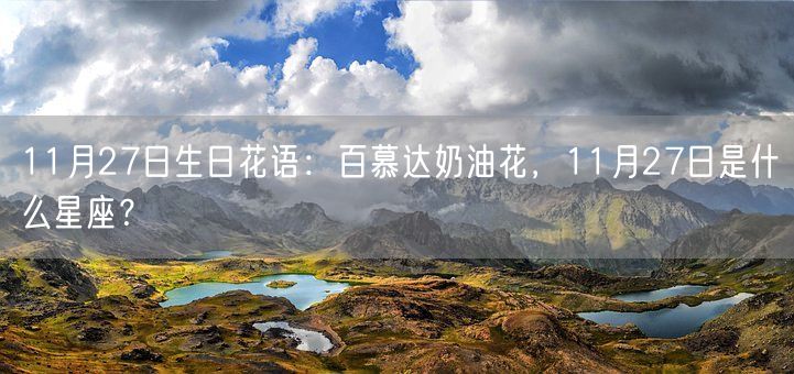 11月27日生日花语：百慕达奶油花，11月27日是什么星座？(图1)