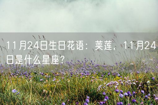 11月24日生日花语：荚莲，11月24日是什么星座？(图1)