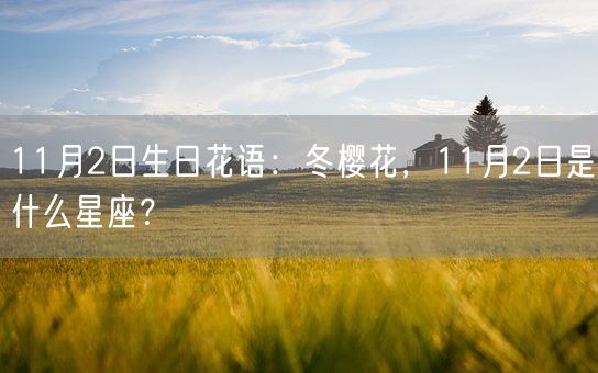 11月2日生日花语：冬樱花，11月2日是什么星座？(图1)