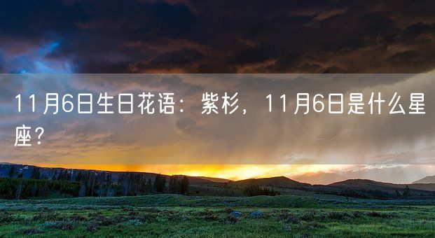 11月6日生日花语：紫杉，11月6日是什么星座？(图1)