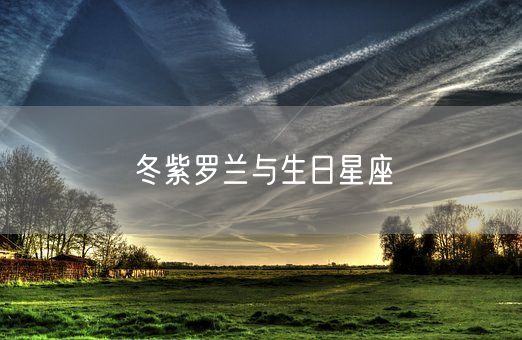 冬紫罗兰与生日星座(图1)