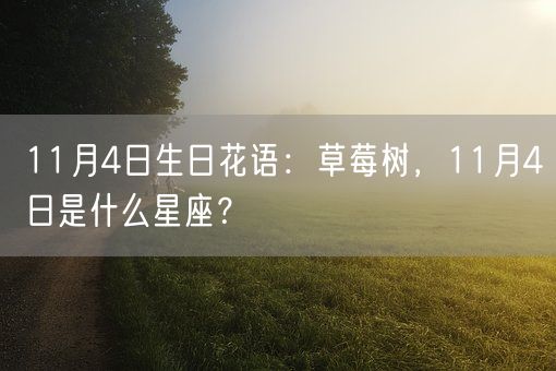 11月4日生日花语：草莓树，11月4日是什么星座？(图1)