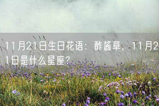 11月21日生日花语：酢酱草，11月21日是什么星座？(图1)