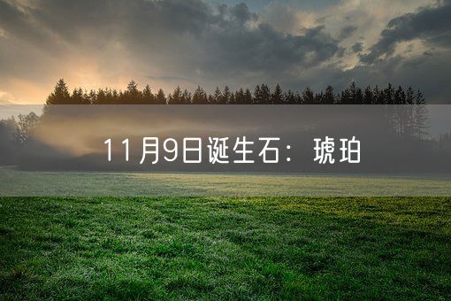 11月9日诞生石：琥珀(图1)