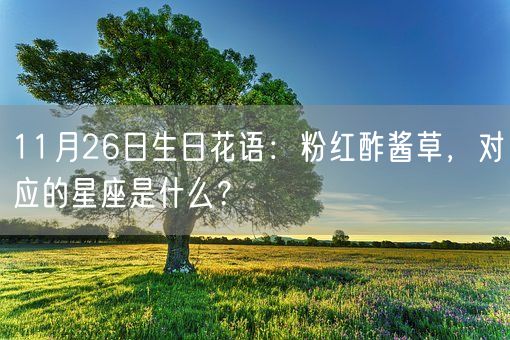 11月26日生日花语：粉红酢酱草，对应的星座是什么？(图1)