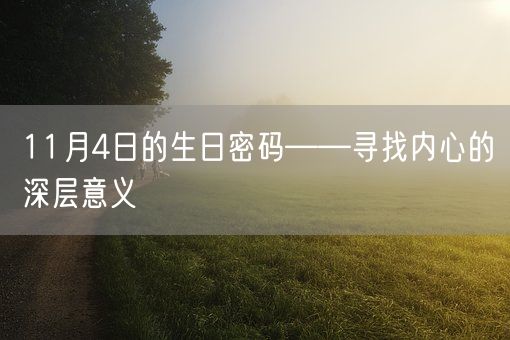 11月4日的生日密码——寻找内心的深层意义(图1)