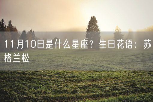 11月10日是什么星座？生日花语：苏格兰松(图1)