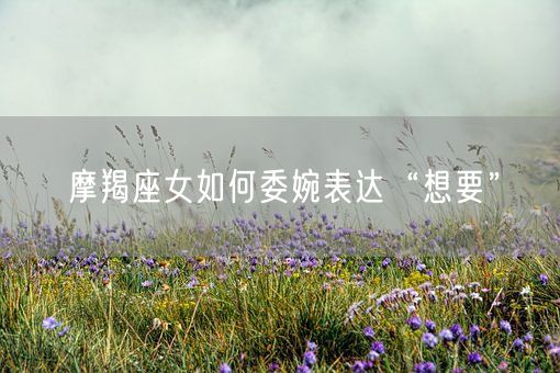 摩羯座女如何委婉表达“想要”(图1)