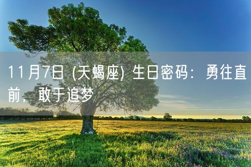 11月7日 (天蝎座) 生日密码：勇往直前，敢于追梦(图1)