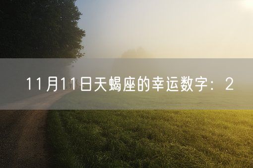 11月11日天蝎座的幸运数字：2(图1)