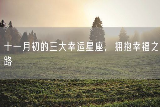 十一月初的三大幸运星座，拥抱幸福之路(图1)