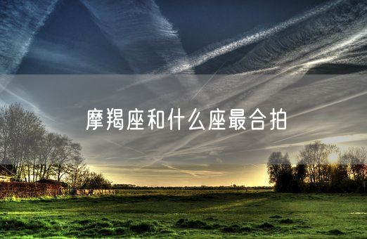 摩羯座和什么座最合拍(图1)